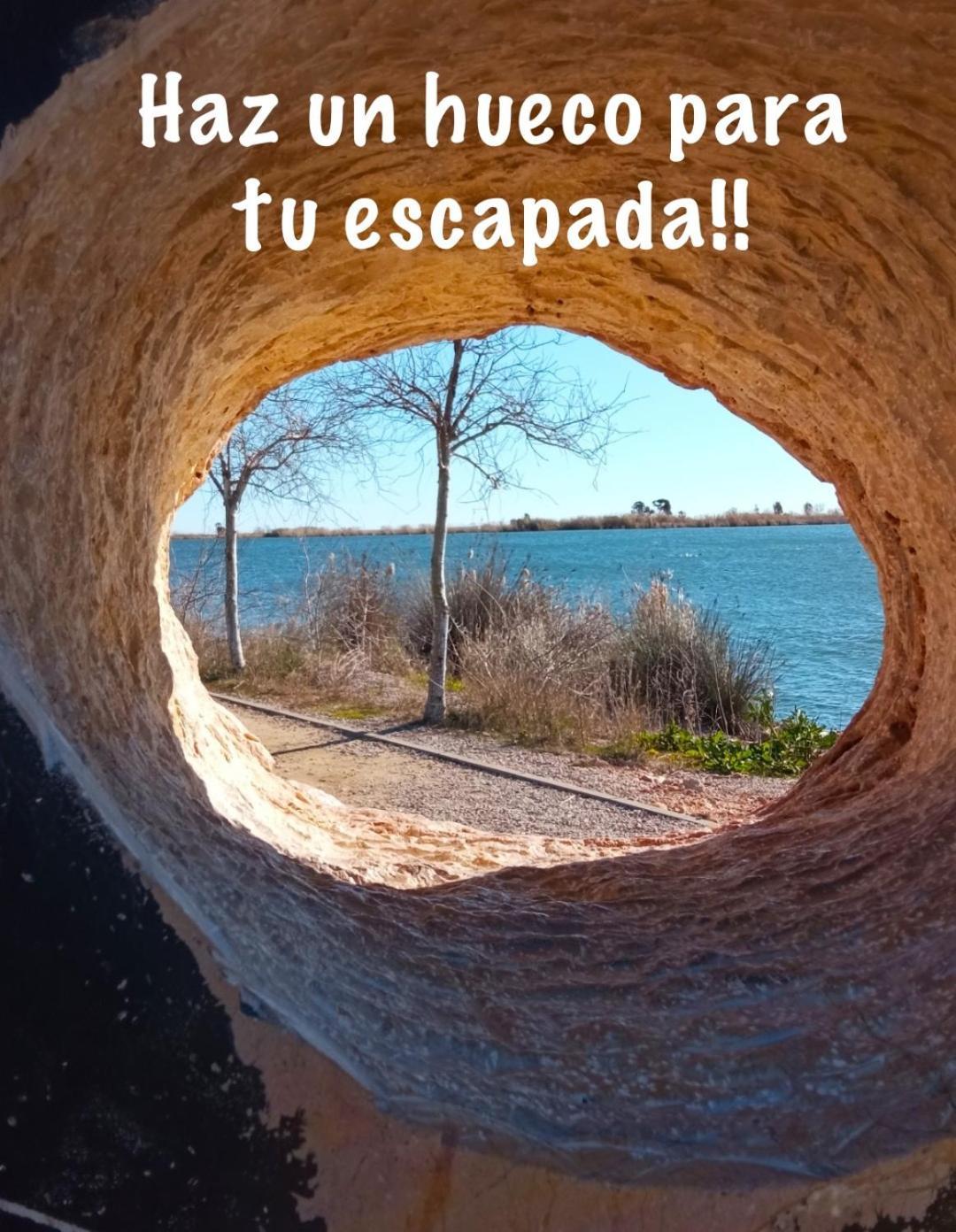 Casa Enric , Con Zona Infantil, Piscina Y Parking Privado Konuk evi Deltebre Dış mekan fotoğraf